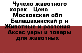 Чучело животного хорек › Цена ­ 3 000 - Московская обл., Балашихинский р-н Животные и растения » Аксесcуары и товары для животных   